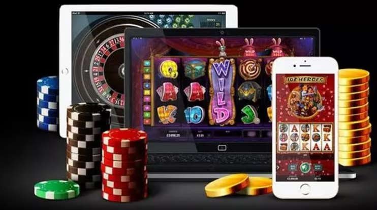 Dasbor olahraga multi-kategori dengan jadwal pertandingan aktif